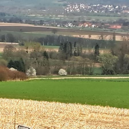 Zur Schoenen Aussicht Hamelin Exteriér fotografie