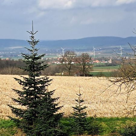 Zur Schoenen Aussicht Hamelin Exteriér fotografie