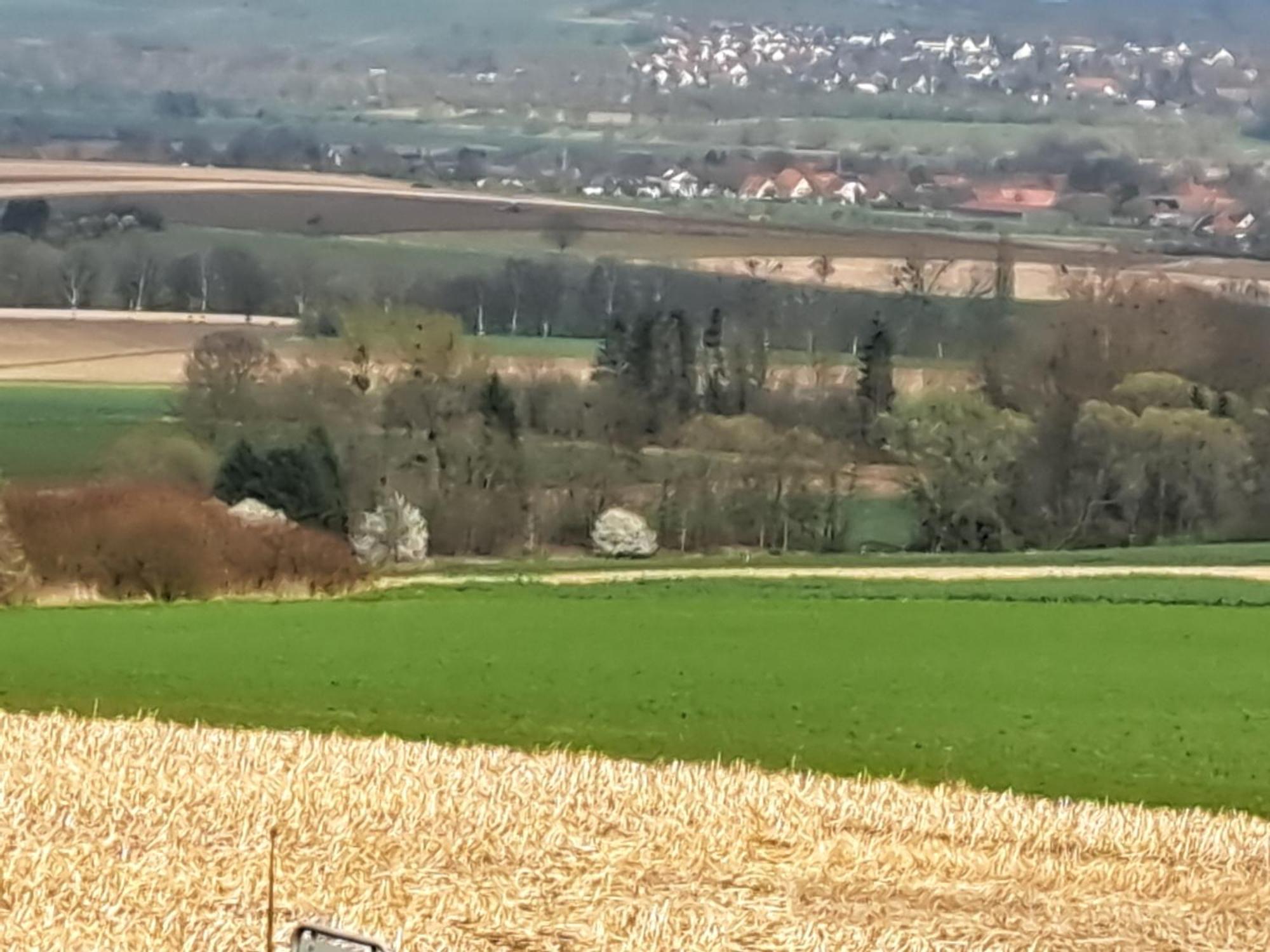 Zur Schoenen Aussicht Hamelin Exteriér fotografie