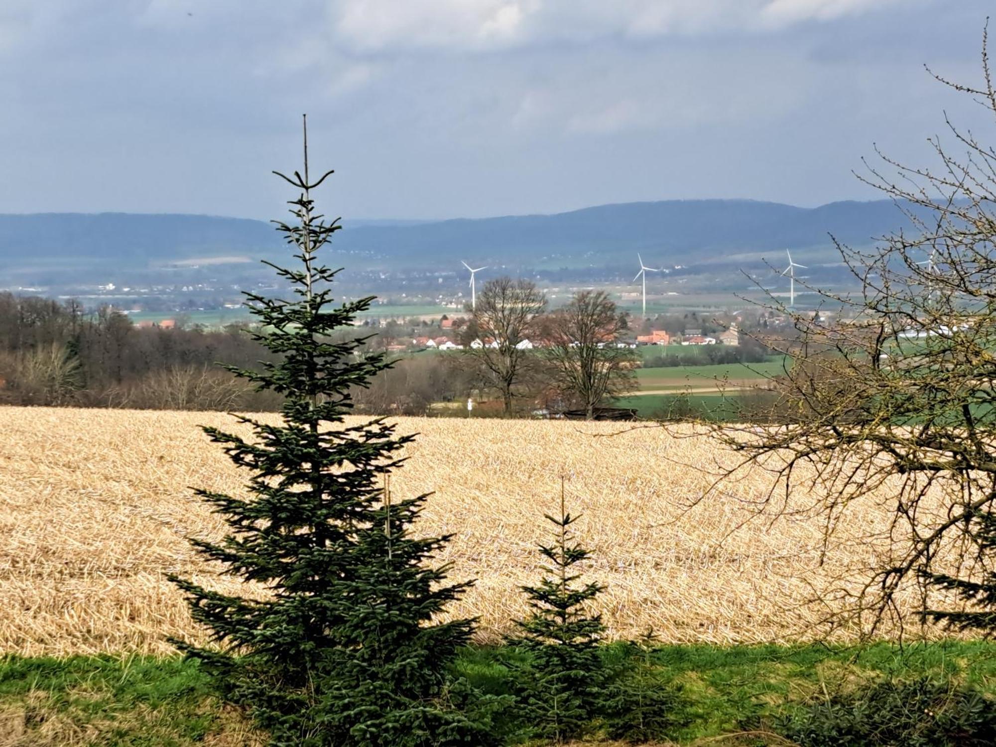 Zur Schoenen Aussicht Hamelin Exteriér fotografie